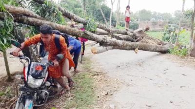 ঠাকুরগাঁওয়ে হঠাৎ ঝড়ে লন্ডভন্ড ২০ গ্রাম,  ৩ জনের মৃত্যু