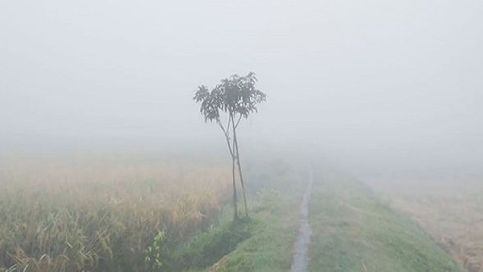 লালমনিরহাটে জেঁকে বসেছে শীত