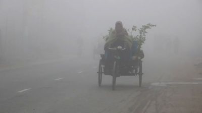 নওগাঁয় হিমেল বাতাসের কাবু জনজীবন