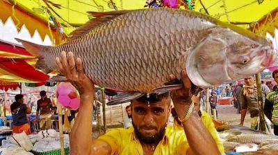 বড় মাছ-মিষ্টির অনন্য উৎসব পোড়াদহ মেলা