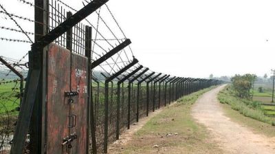 ৪ বাংলাদেশিকে আটক করেছে  বিএসএফ